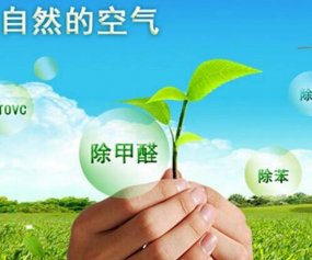 裝修除甲醛的幾個(gè)誤區(qū)你知道嗎